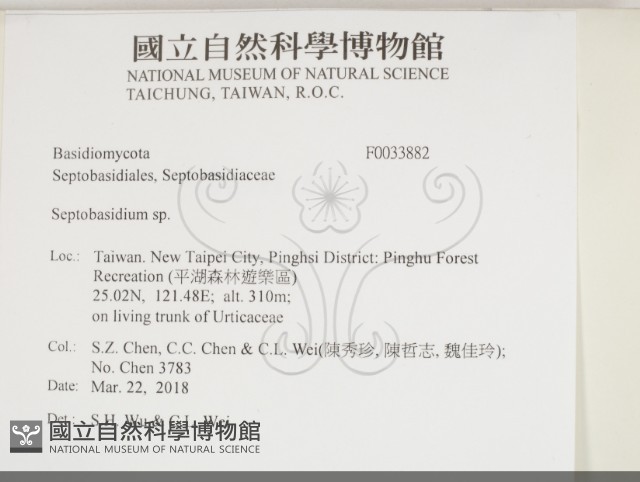 登錄號:F0033882藏品圖，第2張