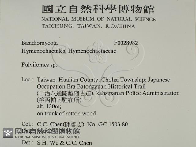 登錄號:F0028982藏品圖，第2張