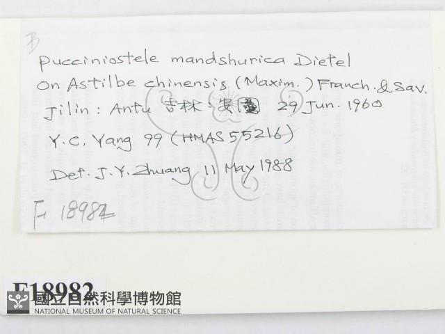 登錄號:F0018982藏品圖，第2張