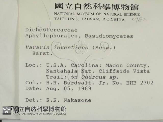 登錄號:F0000982藏品圖，第2張