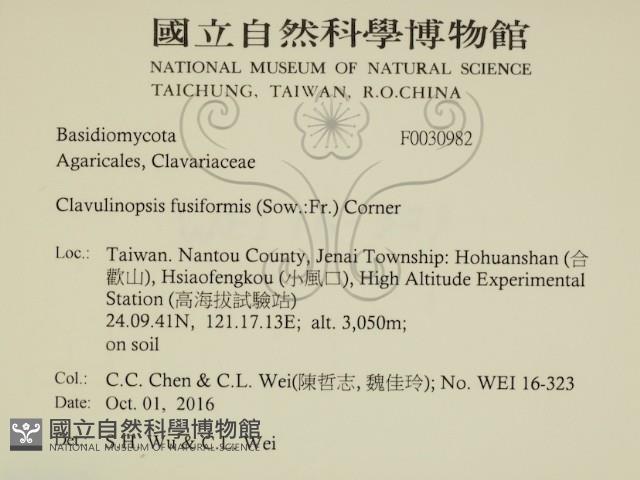 登錄號:F0030982藏品圖，第2張