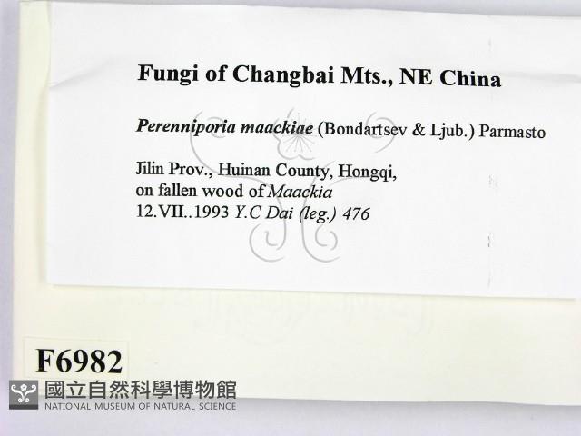 登錄號:F0006982藏品圖，第2張