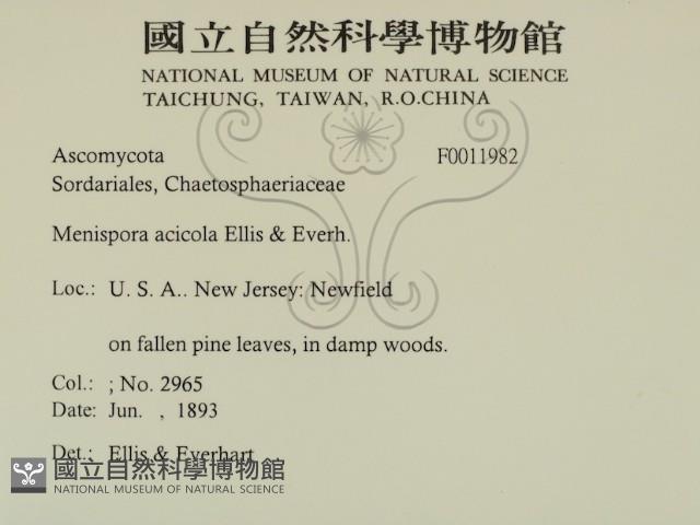 登錄號:F0011982藏品圖，第2張