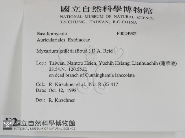 登錄號:F0024982藏品圖，第2張