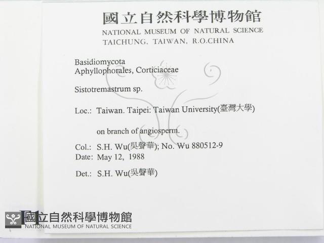 登錄號:F0014982藏品圖，第2張