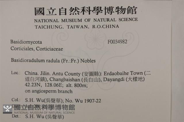 登錄號:F0034982藏品圖，第2張