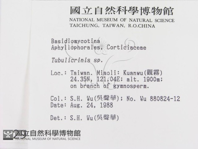 登錄號:F0002982藏品圖，第2張