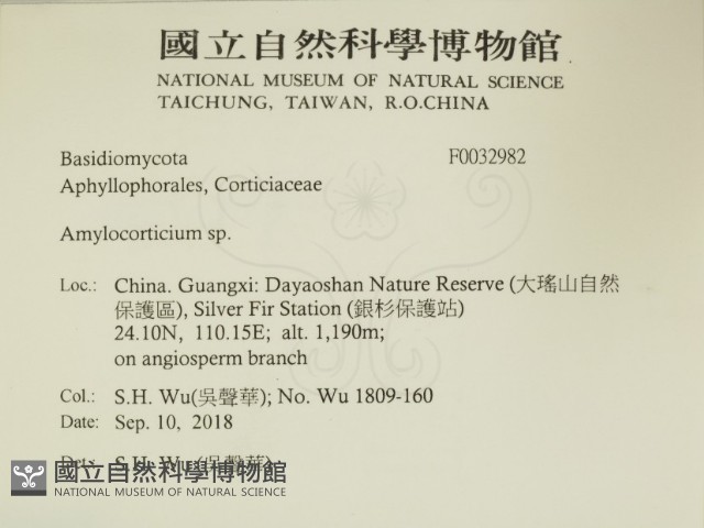 登錄號:F0032982藏品圖，第2張