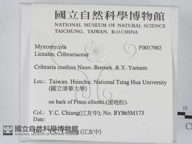 登錄號:F0017982藏品圖，第2張