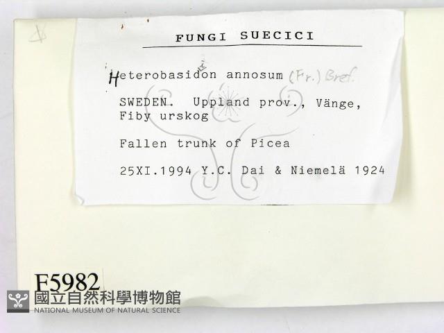 登錄號:F0005982藏品圖，第2張