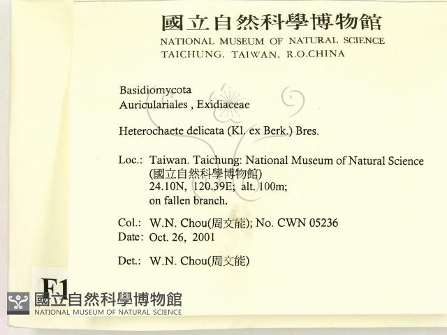 登錄號:F0015982藏品圖，第2張