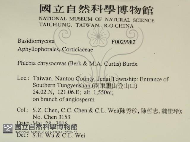 登錄號:F0029982藏品圖，第2張