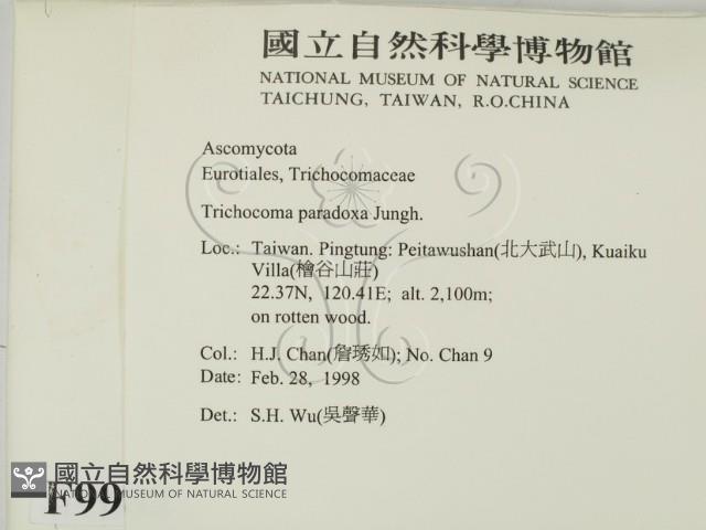 登錄號:F0009982藏品圖，第2張