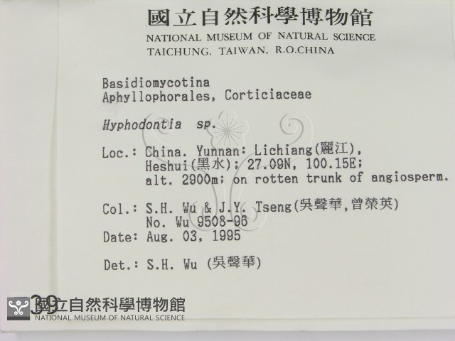 登錄號:F0003982藏品圖，第2張