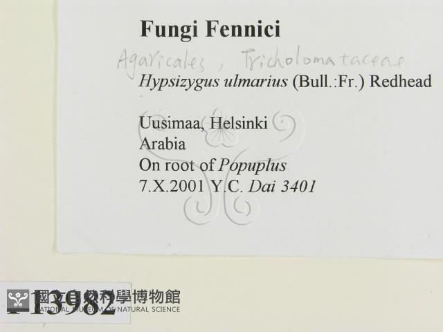 登錄號:F0013982藏品圖，第2張