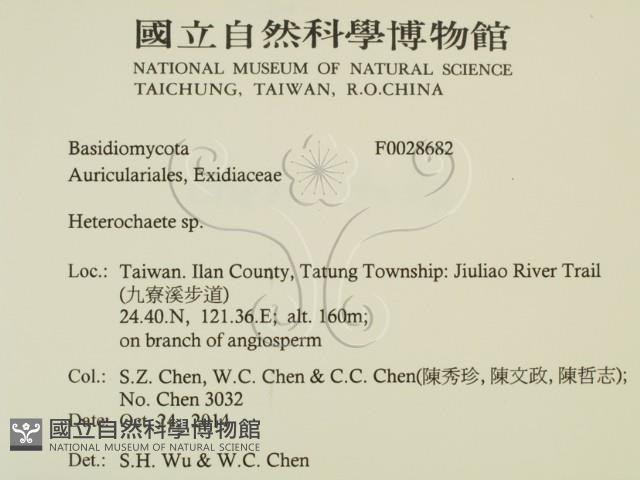 刺皮菌屬藏品圖，第2張