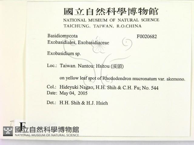 登錄號:F0020682藏品圖，第2張