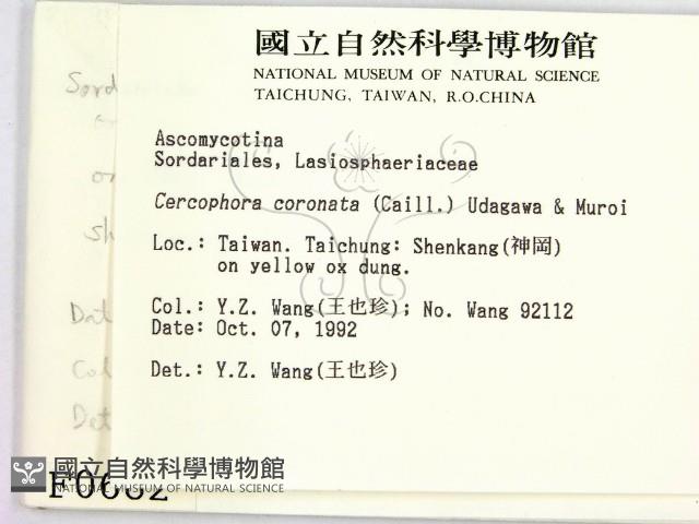 登錄號:F0000682藏品圖，第2張