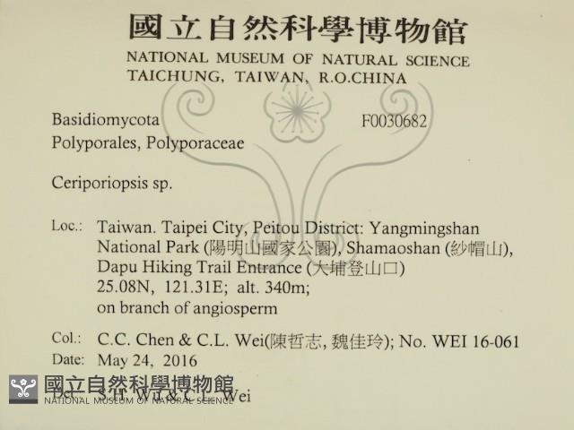登錄號:F0030682藏品圖，第2張