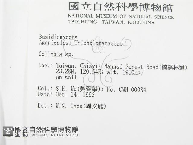 登錄號:F0001682藏品圖，第2張