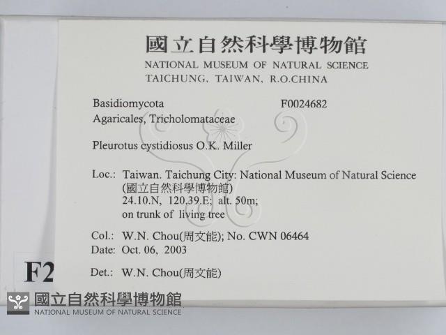 登錄號:F0024682藏品圖，第2張