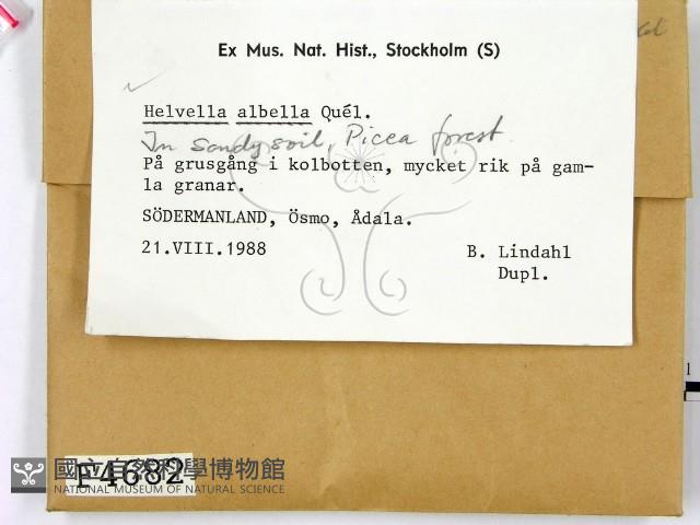 登錄號:F0004682藏品圖，第2張