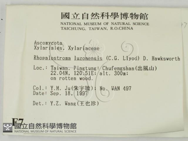 登錄號:F0007682藏品圖，第2張