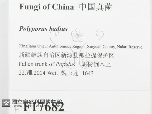 登錄號:F0017682藏品圖，第2張