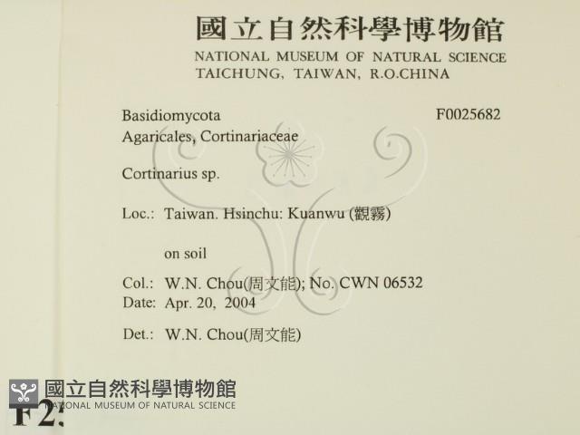 登錄號:F0025682藏品圖，第2張