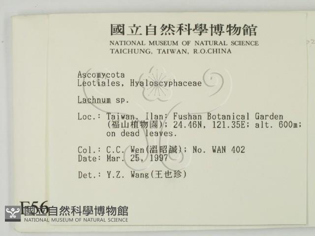 登錄號:F0005682藏品圖，第2張