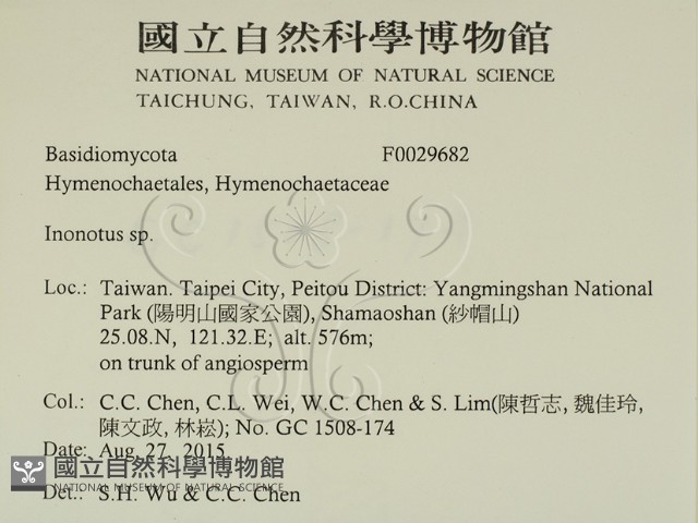 纖孔菌屬藏品圖，第2張