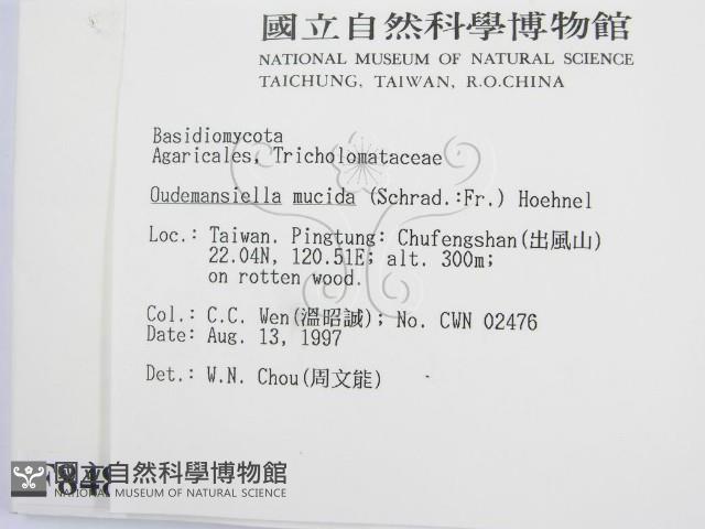 登錄號:F0008482藏品圖，第2張