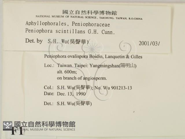 登錄號:F0010482藏品圖，第2張