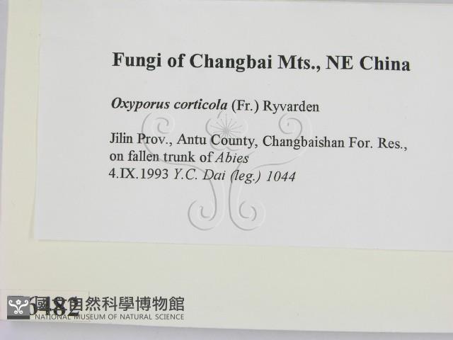 登錄號:F0006482藏品圖，第2張