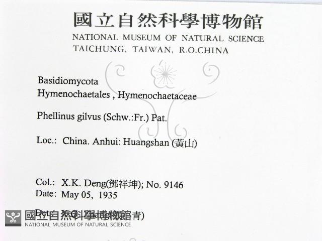 登錄號:F0016482藏品圖，第2張