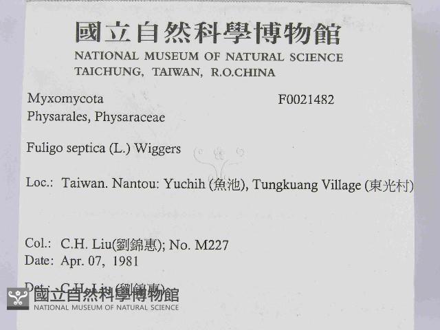 登錄號:F0021482藏品圖，第2張