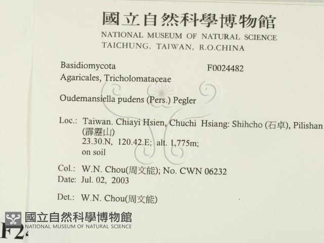 登錄號:F0024482藏品圖，第2張