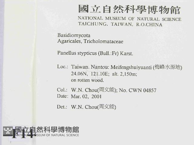 登錄號:F0014482藏品圖，第2張