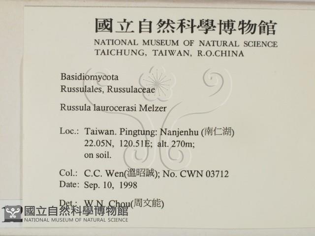 登錄號:F0012482藏品圖，第2張
