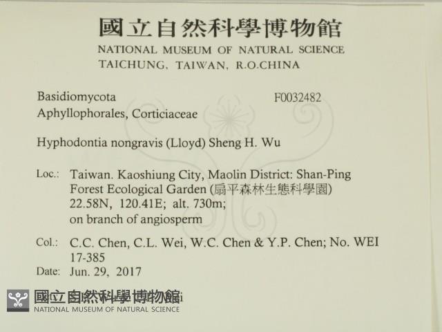 登錄號:F0032482藏品圖，第2張