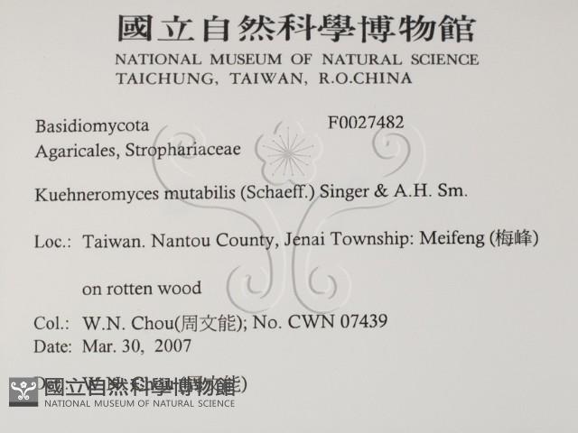 登錄號:F0027482藏品圖，第2張