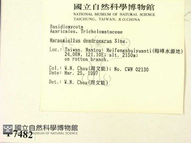 登錄號:F0007482藏品圖，第2張