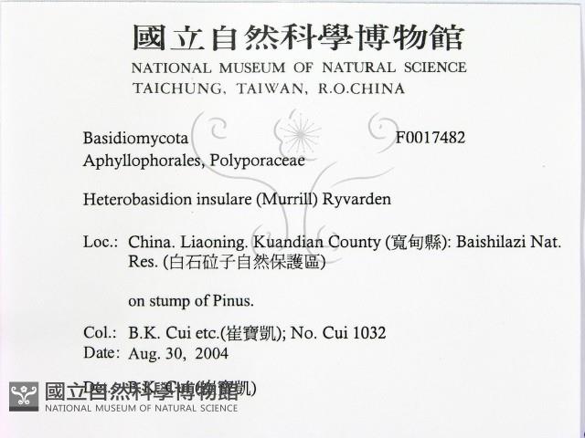 登錄號:F0017482藏品圖，第2張