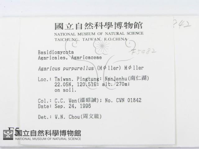 登錄號:F0005482藏品圖，第2張