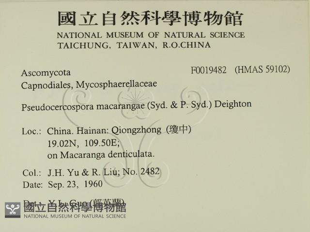 登錄號:F0019482藏品圖，第2張
