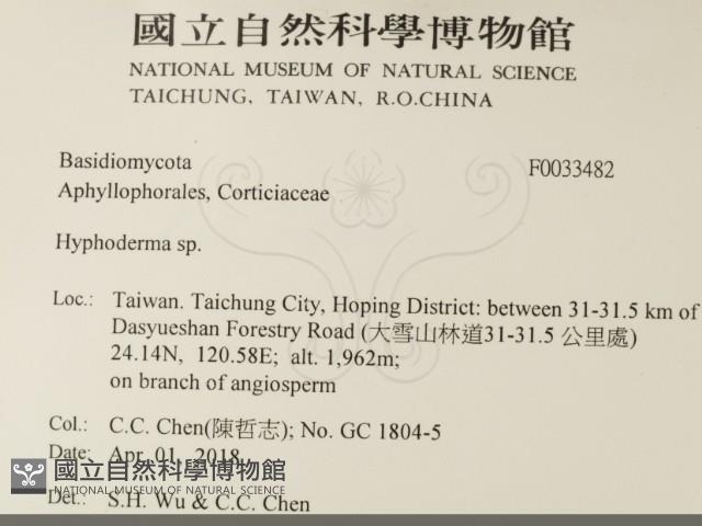 絲皮菌屬藏品圖，第2張