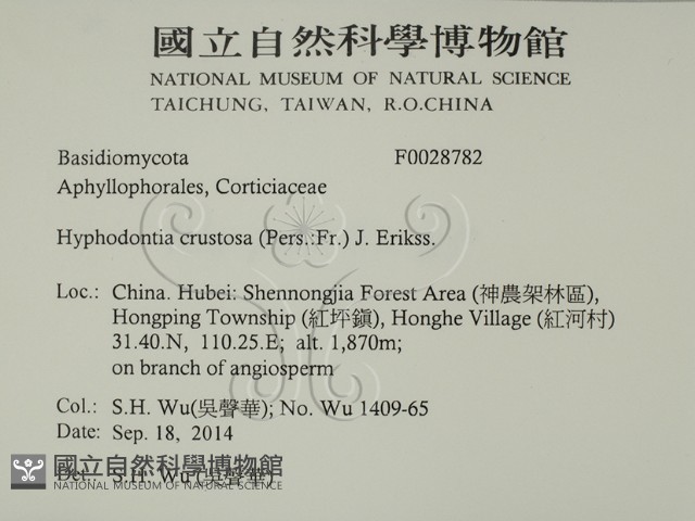 登錄號:F0028782藏品圖，第2張