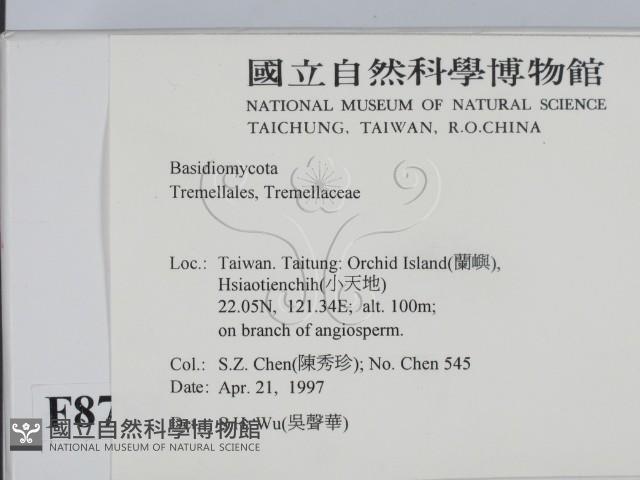 登錄號:F0008782藏品圖，第2張