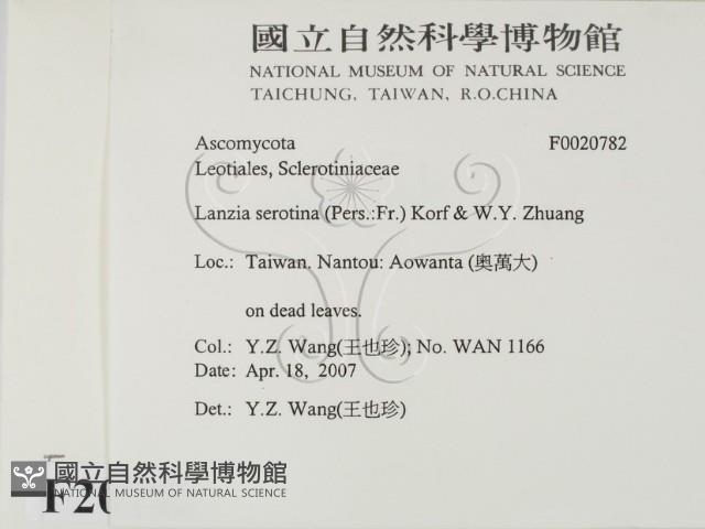 登錄號:F0020782藏品圖，第2張