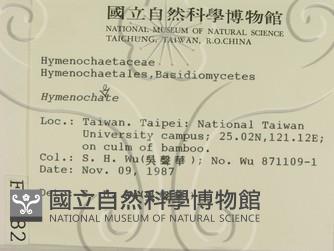 登錄號:F0000782藏品圖，第2張